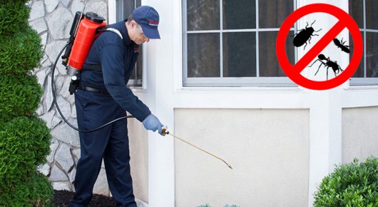 Cumayeri Fare İlaçlama böcek ilaçlama ve haşere kontrolü — ilaclama-tr.com